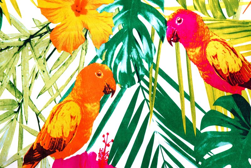tropical (Copy)