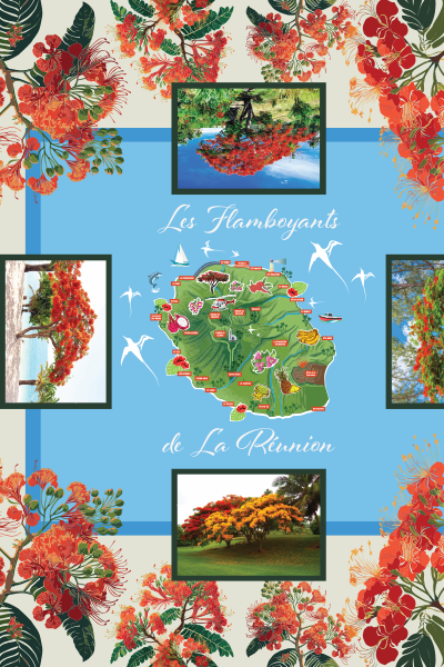 Les Flamboyants – Image 3